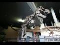 해남공룡박물관 공룡실 썸네일 이미지
