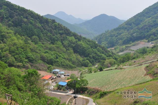 대표시청각 이미지