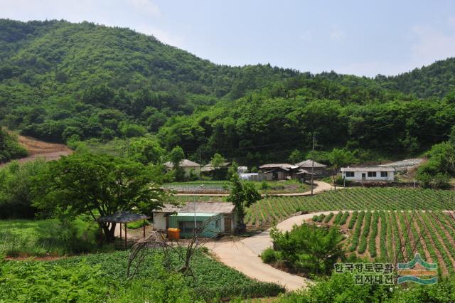 대표시청각 이미지