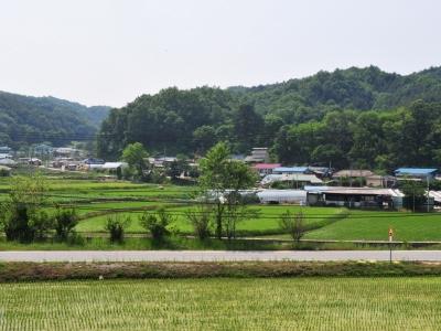 삼거리 썸네일 이미지