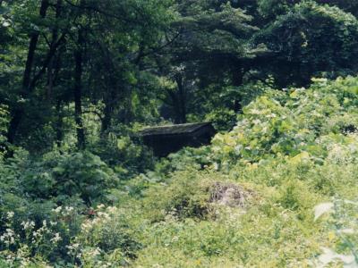 부산리 찬샘골 산제당 썸네일 이미지