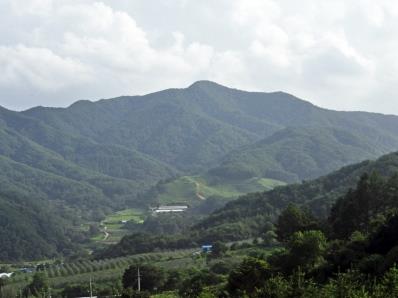 용두산 썸네일 이미지