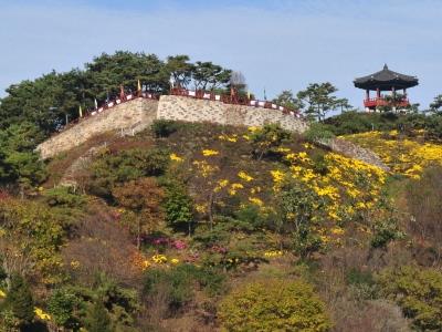 제천 청풍 망월산성 전경 썸네일 이미지