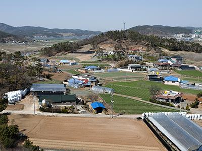 둔당리 썸네일 이미지