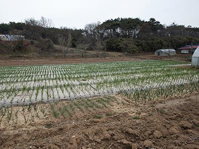 도성리 야철 터 썸네일 이미지