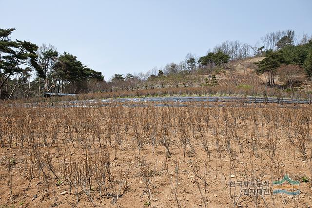 대표시청각 이미지