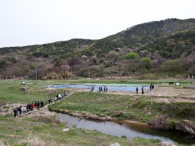 서산 보원사지 썸네일 이미지