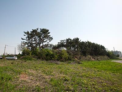 석남동 구석기 유적지 썸네일 이미지