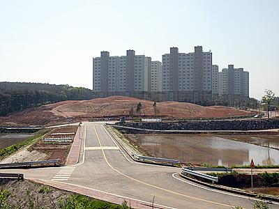 서산 부장리 고분군 복토후 전경 썸네일 이미지