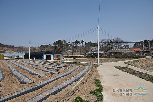 대표시청각 이미지