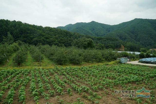 대표시청각 이미지