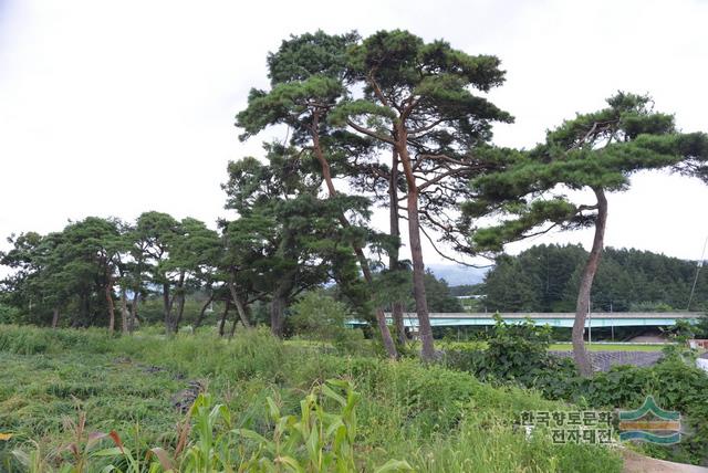 대표시청각 이미지